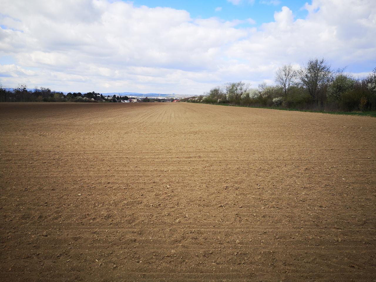 Phase 1 - Image