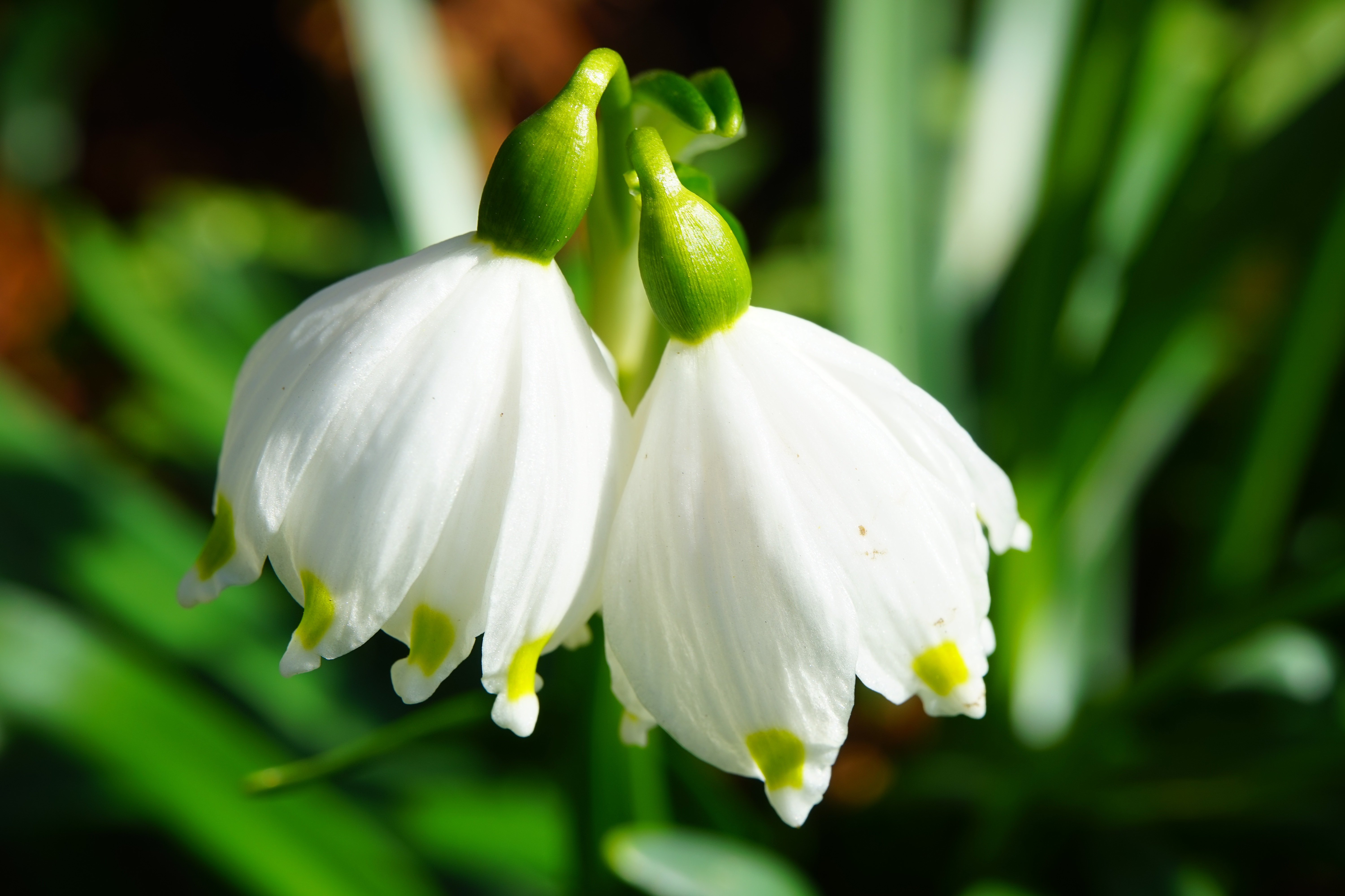 Phase 3 - Image