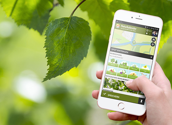 Naturkalender App - mitmachen und die Natur beobachten