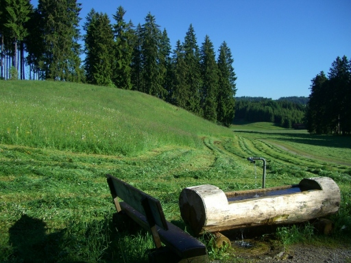 Dauergrünland
